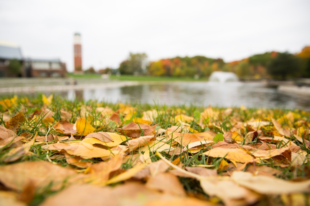 Title IX Coordinator's message to the GVSU community with updates regarding 2020 Title IX regulations